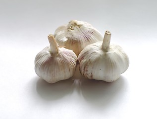 Image showing  garlic