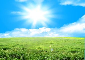 Image showing green field and sun sky