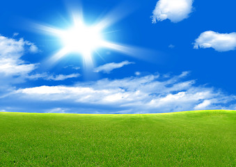 Image showing green field and sun sky