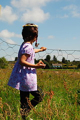 Image showing looking over fence