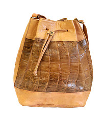 Image showing Crocodile ruksack