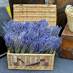 Image showing Lavender basket