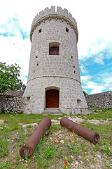 Image showing Guns and castle