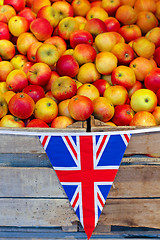 Image showing Organic apples