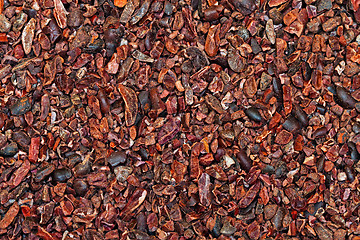 Image showing Raw cocoa nibs