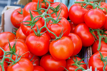 Image showing Tomatoes