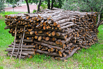 Image showing Firewood bunch