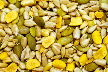 Image showing Healthy seeds