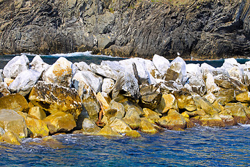 Image showing Coastal defence