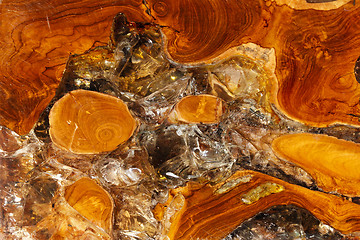 Image showing Wood texture