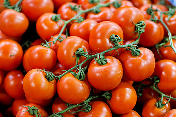 Image showing Cherry tomatoes