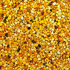 Image showing Bee pollen granules