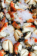 Image showing Fresh crabs