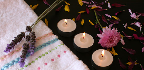 Image showing Three Lavender Flowers