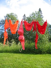 Image showing Bikinis on clothesline