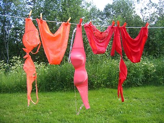 Image showing Bikinis on clothesline