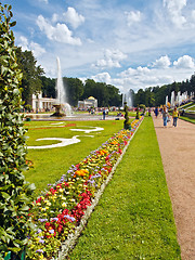 Image showing Beautiful lawn and flowers in Peterhof