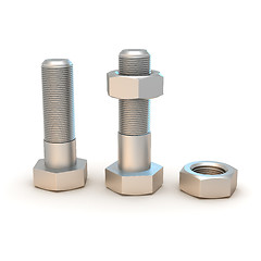 Image showing Two bolts and two nuts