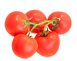 Image showing Bunch with red tomatos