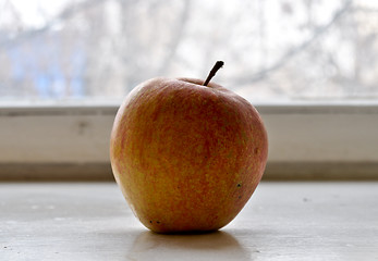 Image showing apple 