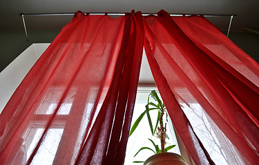 Image showing curtains 