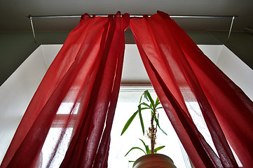 Image showing curtains 