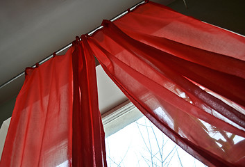 Image showing curtains 