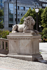 Image showing Lion