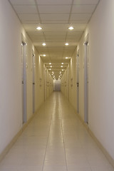 Image showing Empty corridor with doors