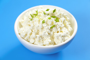 Image showing cottage cheese