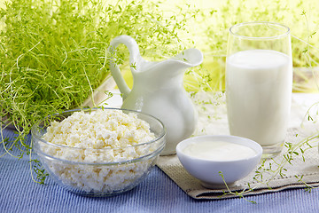 Image showing fresh milk products