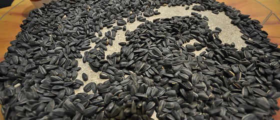 Image showing sunflower seeds 