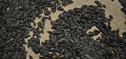 Image showing sunflower seeds 