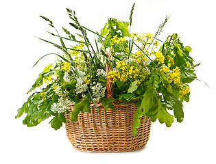 Image showing wild flowers in basket