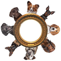 Image showing a group of dog portraits around a round golden picture frame