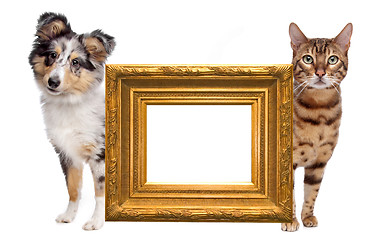 Image showing Cat and dog side to side