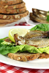 Image showing Sprats