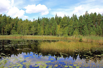 Image showing Calm Marshland Lake in Finland at Late Summer