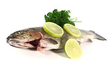 Image showing Trout with parsley and lime