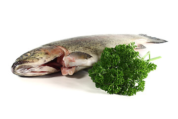 Image showing Trout with parsley