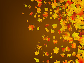 Image showing Fallen autumn leaves background. EPS 8
