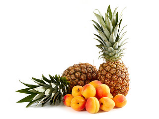 Image showing apricots and pineapples