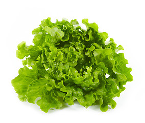 Image showing fresh green lettuce