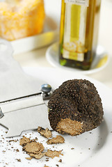 Image showing black truffle