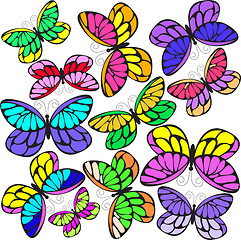 Image showing Butterflies