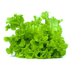 Image showing Green Leaves Lettuce Isolated on White Background
