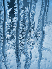 Image showing Frosty natural pattern