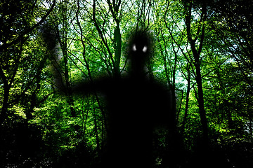 Image showing Ghost In The Woods