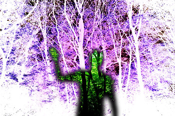 Image showing Ghost In The Woods