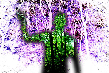 Image showing Ghost In The Woods